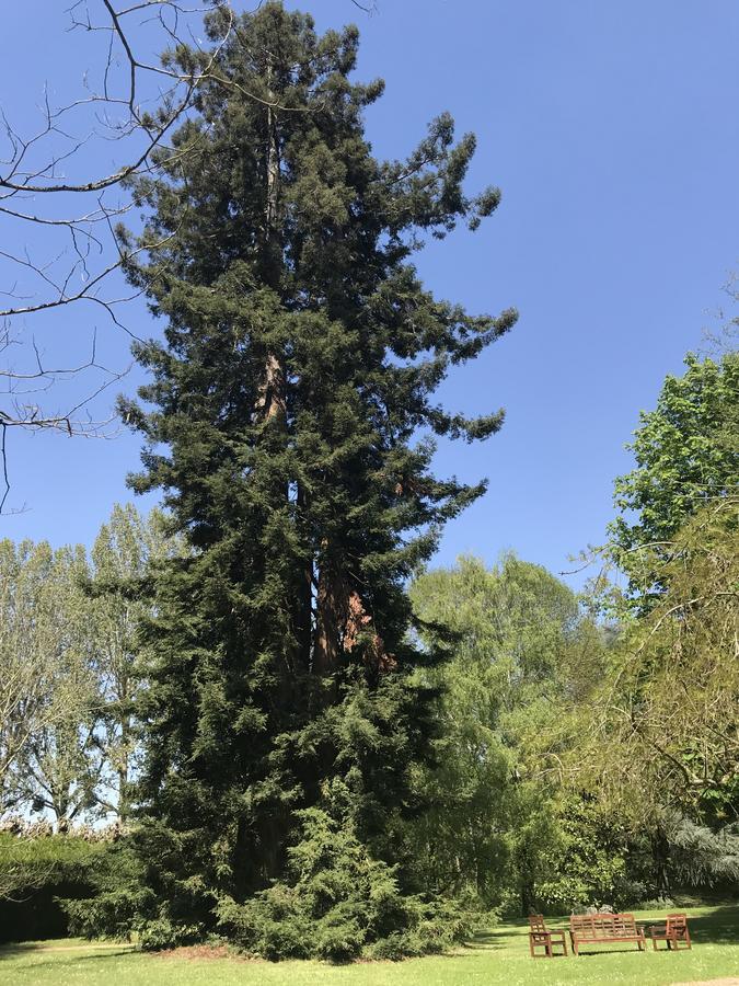 Chambre D'Hote Manoir De Clairbois Larcay Dış mekan fotoğraf