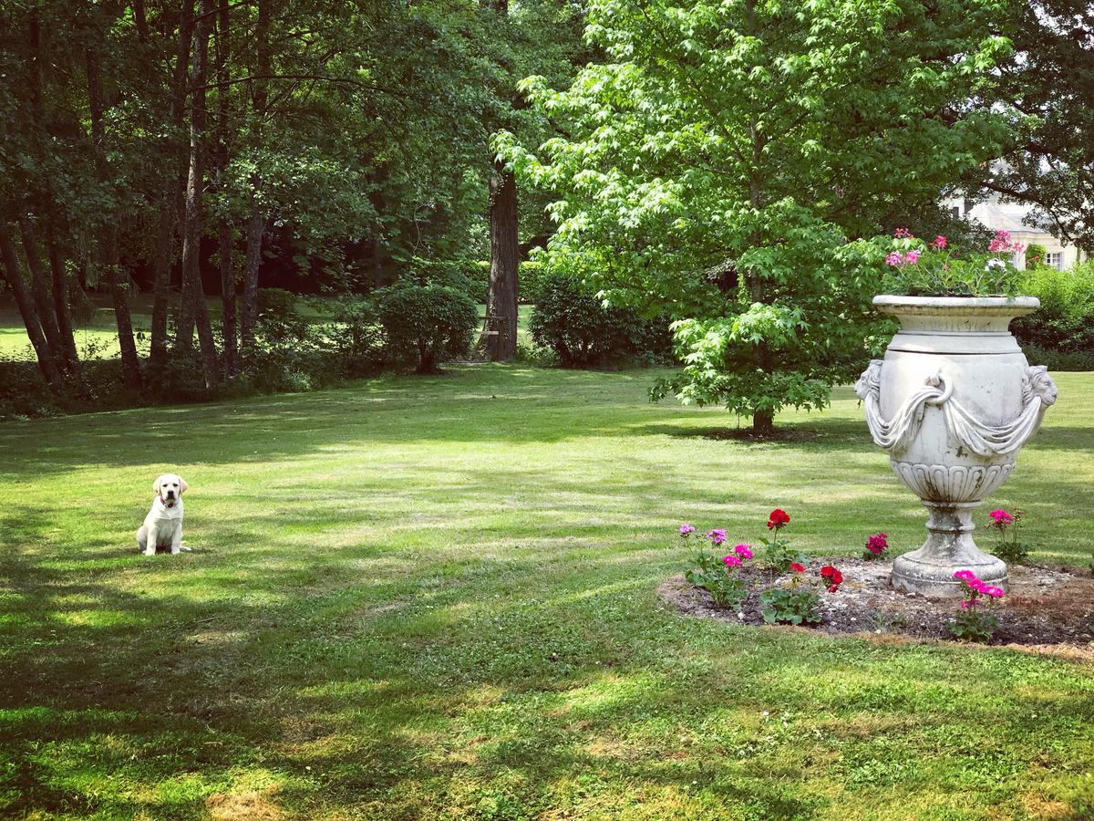 Chambre D'Hote Manoir De Clairbois Larcay Dış mekan fotoğraf